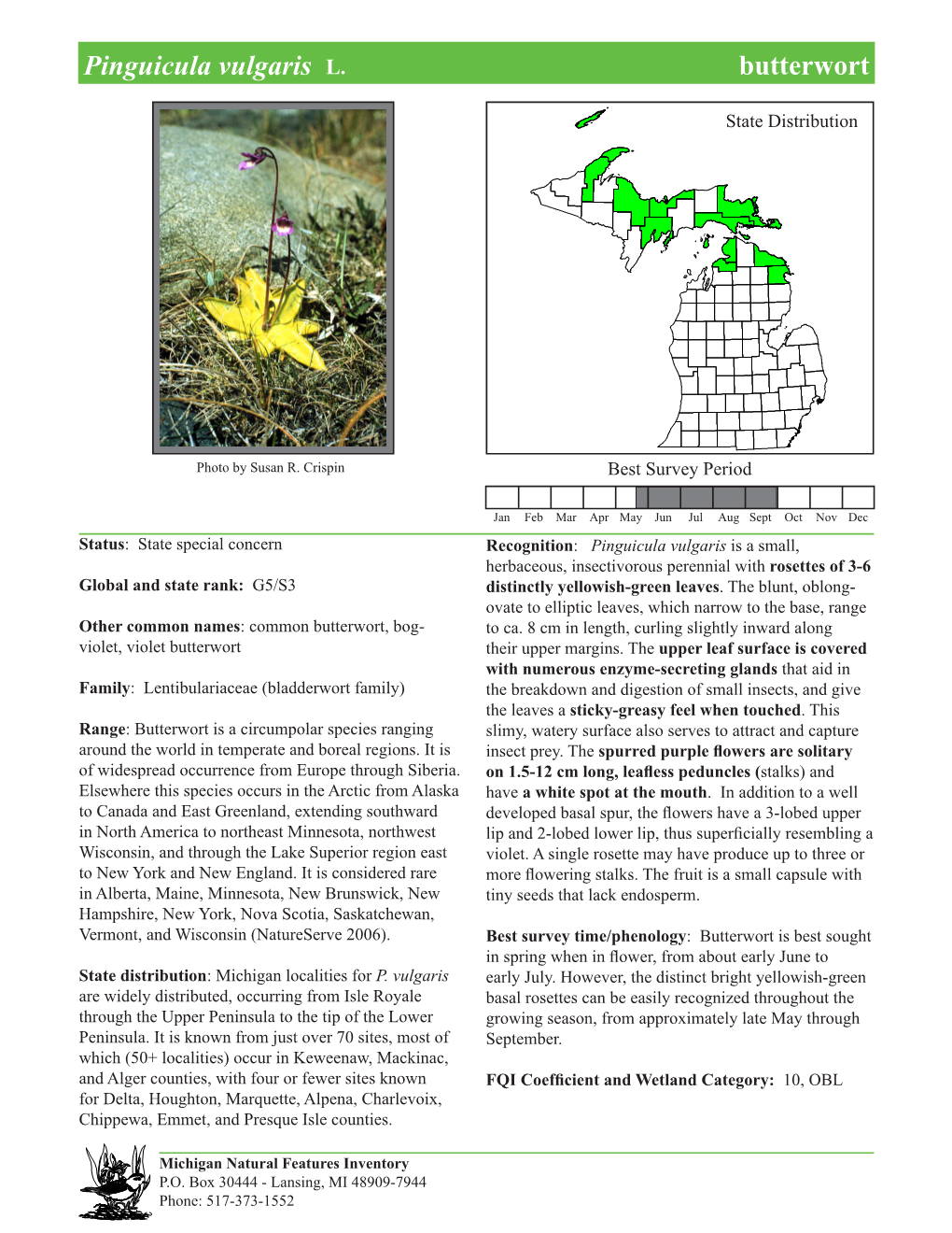 Pinguicula Vulgaris L. Butterwortbutterwort, Page 