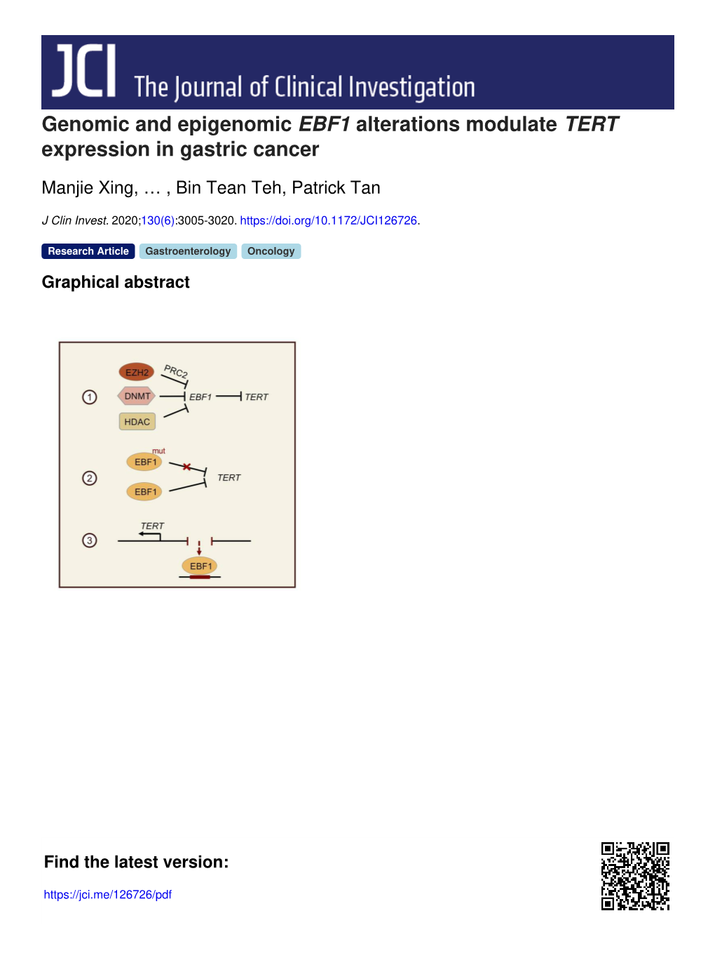 Genomic and Epigenomic EBF1 Alterations Modulate TERT Expression in Gastric Cancer