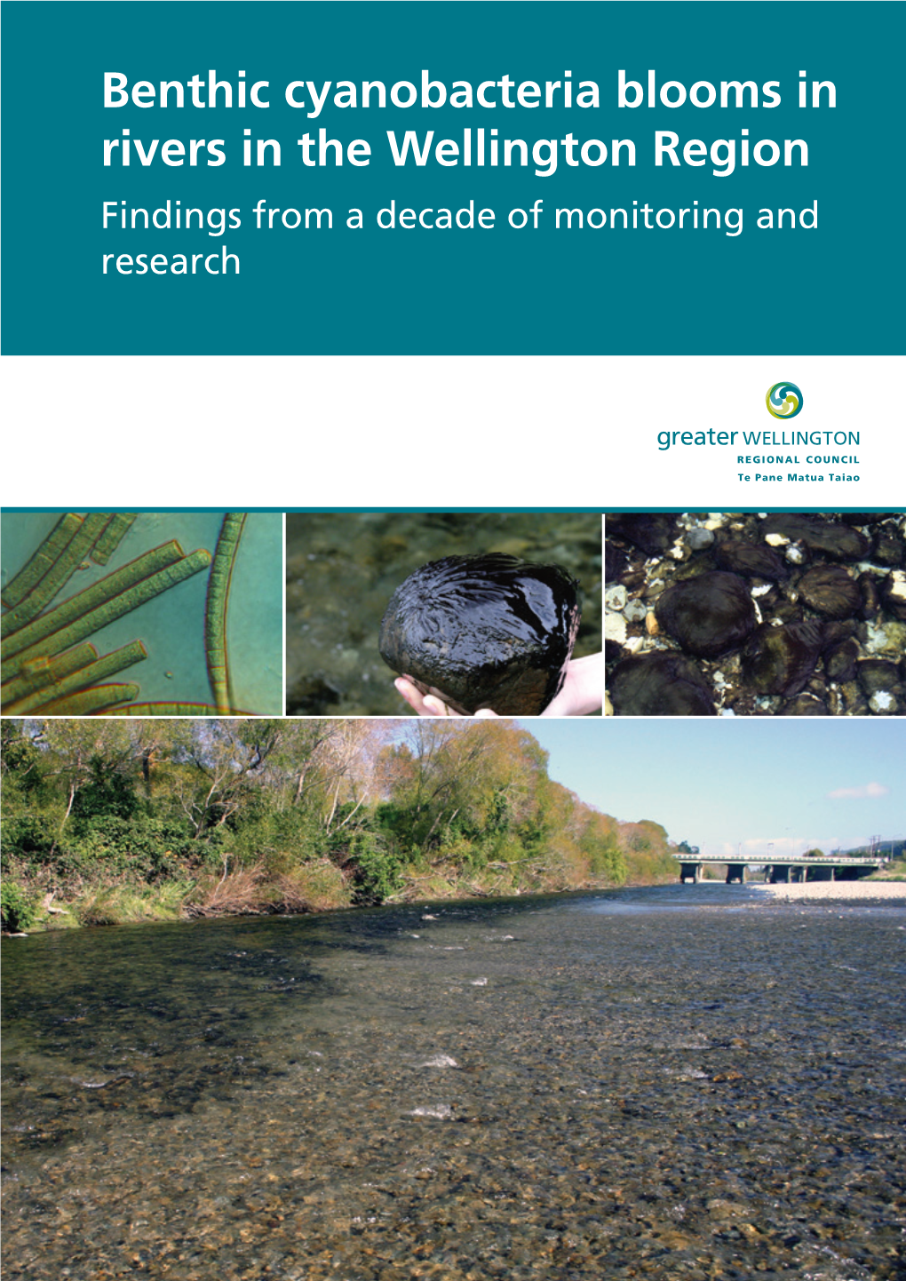 Benthic Cyanobacteria Blooms in Rivers in the Wellington Region Findings from a Decade of Monitoring and Research