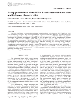 Barley Yellow Dwarf Virus-PAV in Brazil: Seasonal Fluctuation and Biological Characteristics