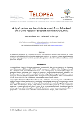 Ariopsis Peltata Var. Brevifolia (Araceae) from Achankovil Shear Zone Region of Southern Western Ghats, India