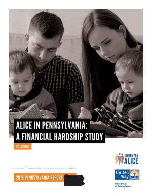 Alice in Pennsylvania: a Financial Hardship Study