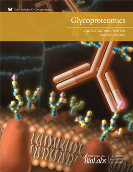 Glycoproteomics Understanding Protein Modifications