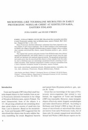 Microfossil-Like Tourmaline Microlites in Early Proterozoic Nodular Chert at Kiihtelysvaara, Eastern Finland