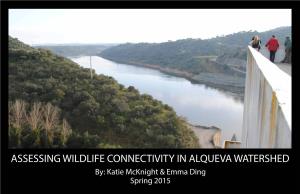 ASSESSING WILDLIFE CONNECTIVITY in ALQUEVA WATERSHED By: Katie Mcknight & Emma Ding Spring 2015