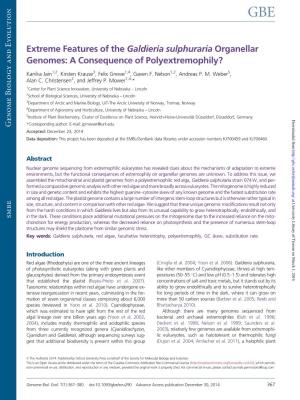 Extreme Features of the Galdieria Sulphuraria Organellar Genomes: a Consequence of Polyextremophily?