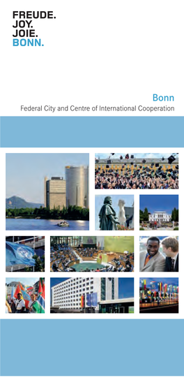 Federal City and Centre of International Cooperation