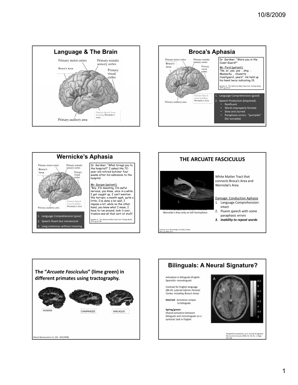 Language & the Brain Broca's Aphasia Wernicke's Aphasia the ARCUATE FASCICULUS Bilinguals: a Neural Signature?