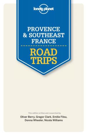 Provence & Southeast France Road Trips 1