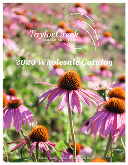 2020 Wholesale Catalog