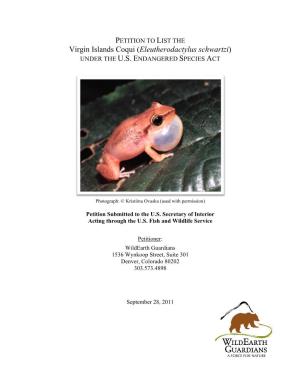 Virgin Islands Coqui (Eleutherodactylus Schwartzi) UNDER the U.S