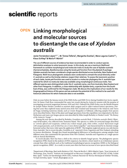 Linking Morphological and Molecular Sources to Disentangle the Case of Xylodon Australis Javier Fernández‑López1,3*, M