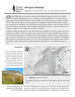Old Speck Mountain Appalachian Trail and Eyebrow Loop – 6.2 Miles Round Trip, Advanced
