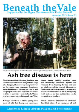 Ash Tree Disease Is Here First It Was Called Chalara Fraxinea, and Shows Many Healthy Mature Trees Then Science Showed It Was Just One Stage Will Eventually Succumb