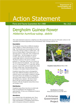 Dergholm Guinea-Flower