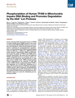 Phosphorylation of Human TFAM in Mitochondria Impairs DNA Binding and Promotes Degradation by the AAA+ Lon Protease