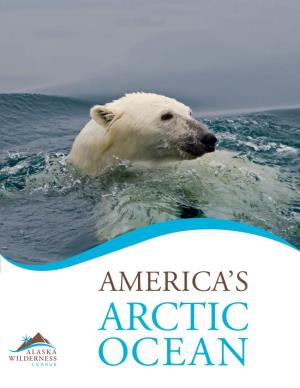 America's Arctic Ocean