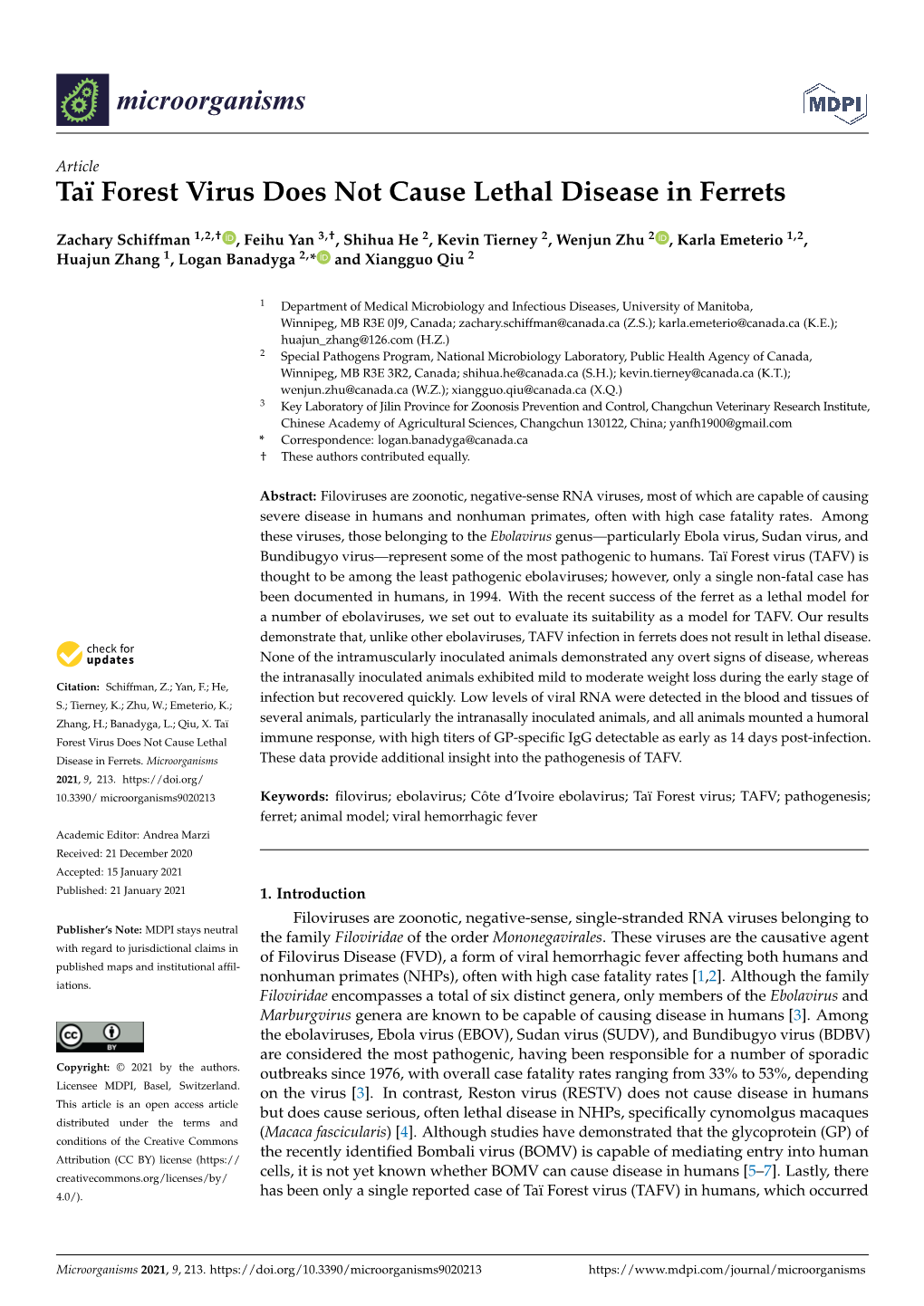 Taï Forest Virus Does Not Cause Lethal Disease in Ferrets