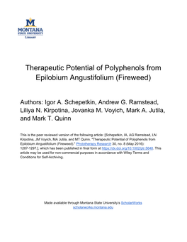 Therapeutic Potential of Polyphenols from Epilobium Angustifolium (Fireweed)
