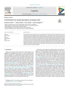 A Mechanism for Spatial Perception on Human Skin