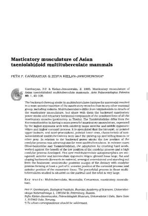 Masticatory Musculature of Asian Taeniolabidoid Multituberculate Mammals