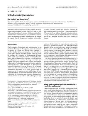 Mitochondrial B-Oxidation