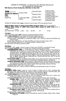 HORSE in TRAINING, Consigned by Alan Mccabe Racing Ltd. the Property of a Partnership Will Stand at Park Paddocks, Wall Box X, Box 523