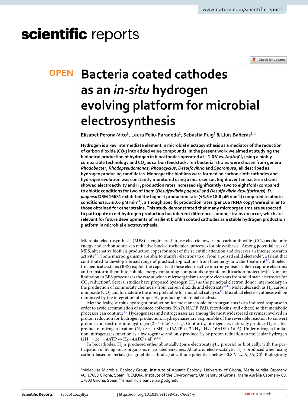 Bacteria Coated Cathodes As an In-Situ Hydrogen Evolving Platform for Microbial Electrosynthesis