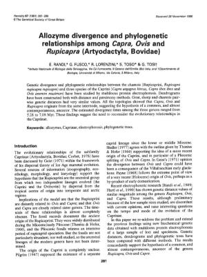Allozyme Divergence and Phylogenetic Relationships Among Capra, Ovis and Rupicapra (Artyodactyla, Bovidae)