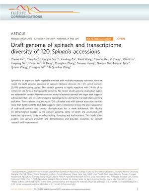 Draft Genome of Spinach and Transcriptome Diversity of 120 Spinacia Accessions
