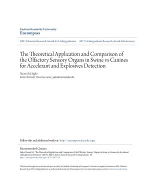 The Theoretical Application and Comparison of the Olfactory Sensory Organs in Swine Vs Canines for Accelerant and Explosives Detection Naomi M
