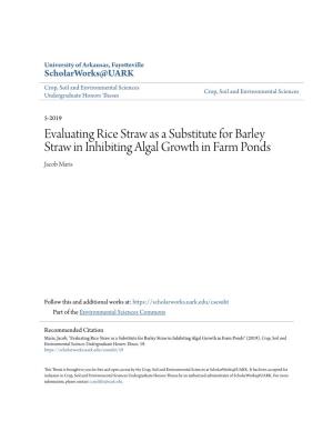 Evaluating Rice Straw As a Substitute for Barley Straw in Inhibiting Algal Growth in Farm Ponds Jacob Maris