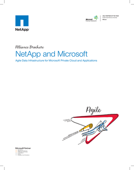 Netapp and Microsoft Alliance Brochure