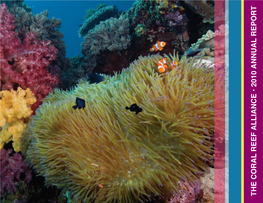 The Coral Reef Alliance • 2010 Annual Report INDIVIDUALLY, WE ARE ONE DROP