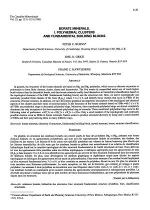 Borate Minerals. I. Polyhedml Clusters and Fundamental