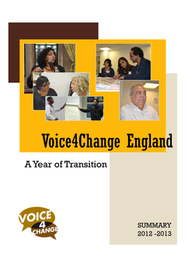 Voice4change England: a Year of Transition 2012-2013