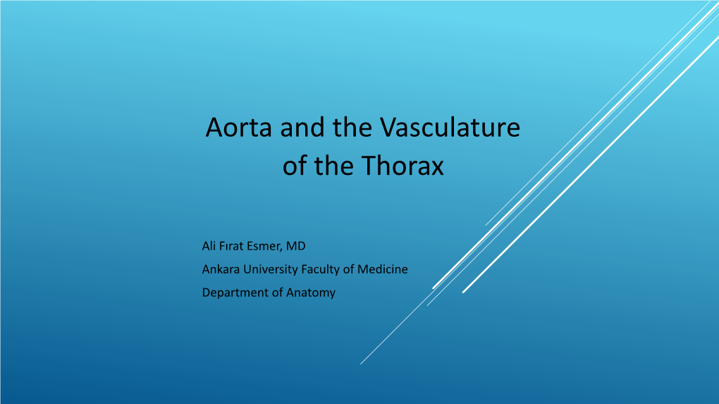 Aorta and the Vasculature of the Thorax