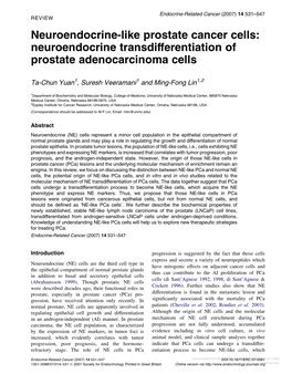 Neuroendocrine Transdifferentiation of Prostate Adenocarcinoma Cells