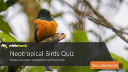 Neotropical Birds Quiz Test Your Knowledge of Neotropical Birds with This Fun Quiz! Click to Get Started 1