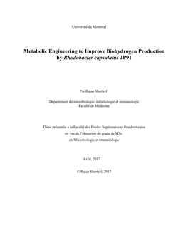 Metabolic Engineering to Improve Biohydrogen Production by Rhodobacter Capsulatus JP91