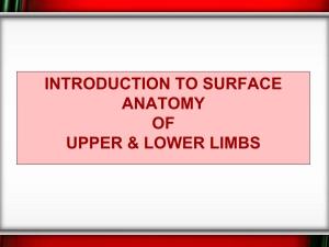 Introduction to Surface Anatomy of Upper & Lower Limbs