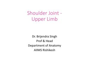 Shoulder Joint - Upper Limb