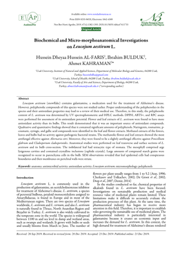 Biochemical and Micro-Morphoanatomical Investigations on Leucojum Aestivum L