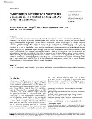 Hummingbird Diversity and Assemblage Composition in a Disturbed Tropical Dry Forest of Guatemala