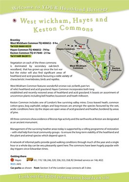 Keston Commons