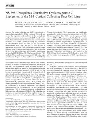 NS-398 Upregulates Constitutive Cyclooxygenase-2 Expression in the M-1 Cortical Collecting Duct Cell Line