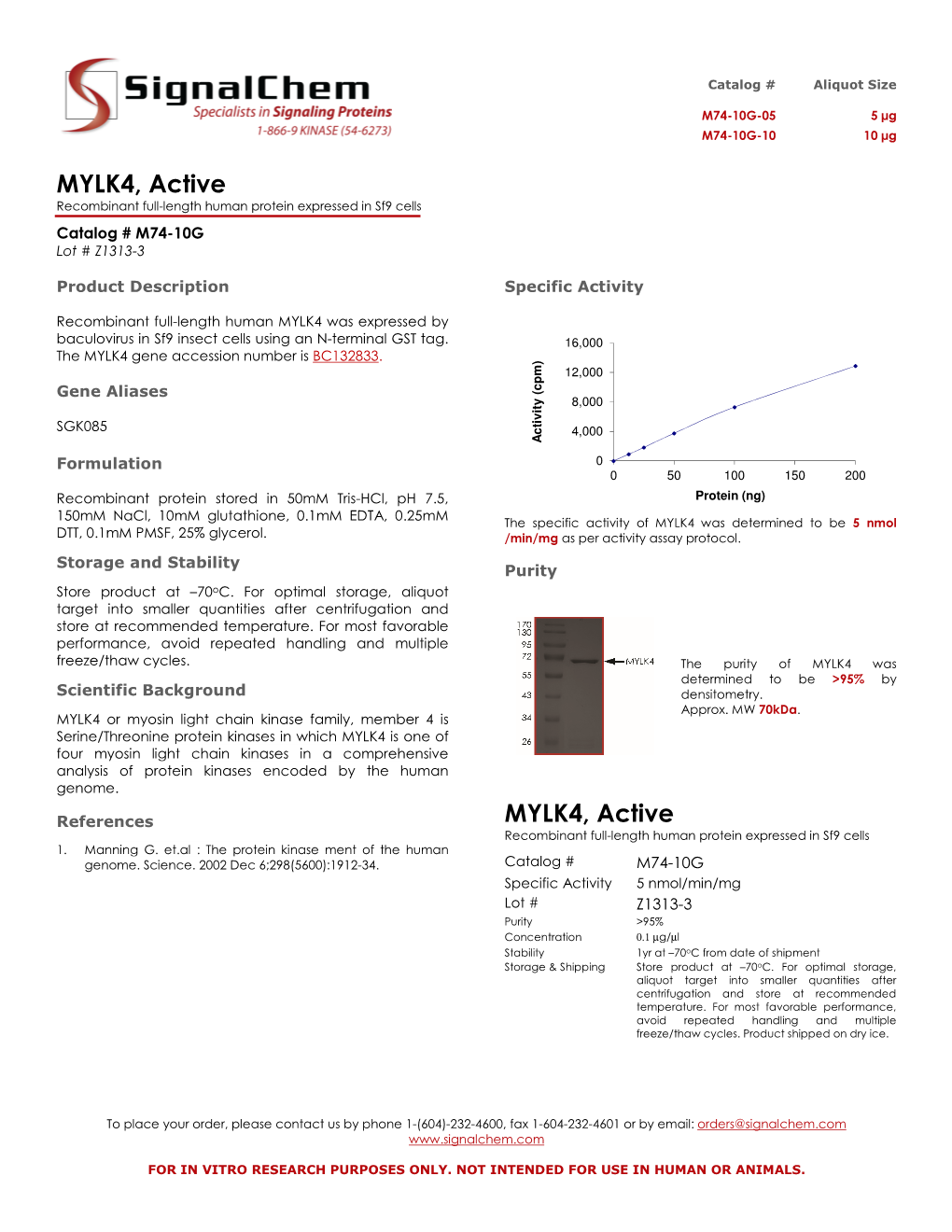 MYLK4, Active Recombinant Full-Length Human Protein Expressed in Sf9 Cells