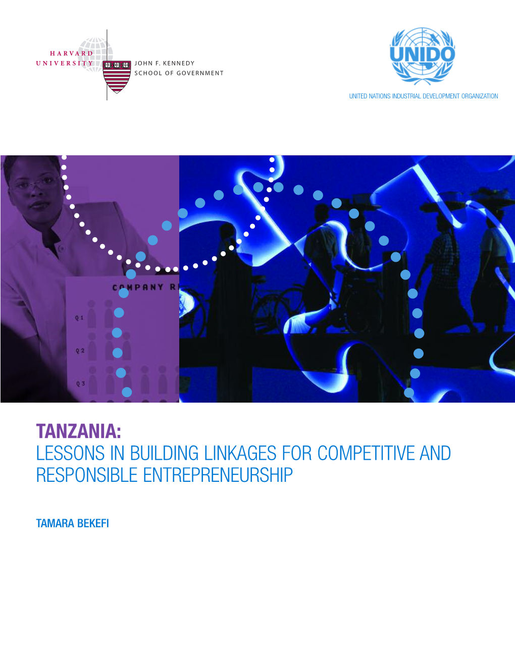 Tanzania: Lessons in Building Linkages for Competitive and Responsible Entrepreneurship