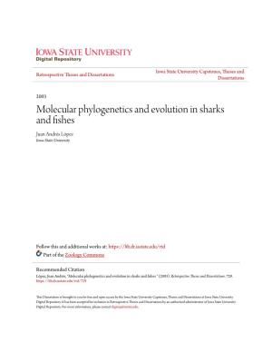 Molecular Phylogenetics and Evolution in Sharks and Fishes Juan Andrés López Iowa State University