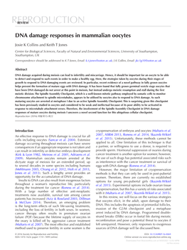 DNA Damage Responses in Mammalian Oocytes